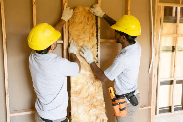 Best Crawl Space Insulation  in Shenorock, NY